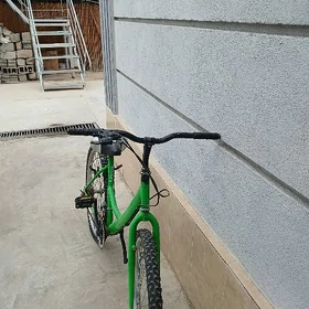 Turkmenistan 🇹🇲 tigir