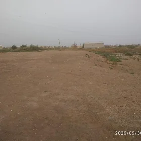 mellek