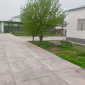 Taze zaman 12sotok 3komnot
