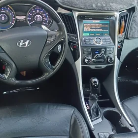Hyundai Sonata 2010