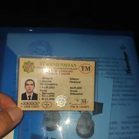 Pasport dakimetler
