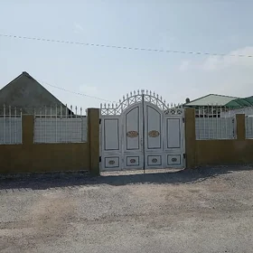 BAGYR MIREWE 10 SOTUK