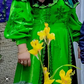 tayyn koynek pombah