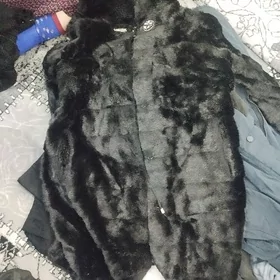 Şuba