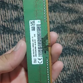 ram