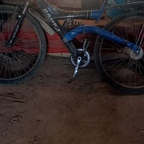 sportivniy welik