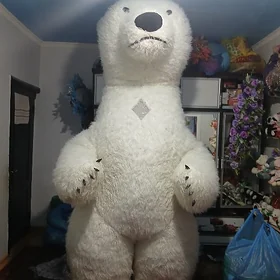 Mişga Animtor Ak aýy