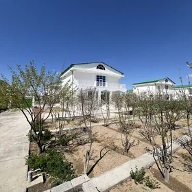 TAZE ZAMAN KATES ULY BALKON