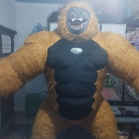 Misga Garyla Animitor