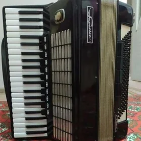 akkordeon