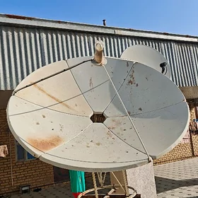uly antena