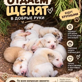 ЩЕНЯТА