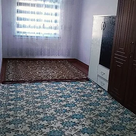 Tenjen arenda kwartyra jay dar