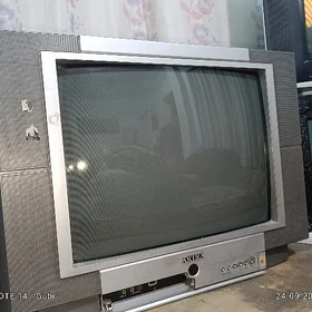 TELEWIZOR