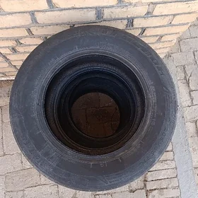 Pakryžka