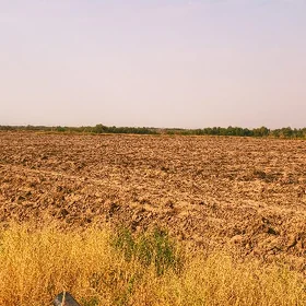 ekin ýer getdar arpa ýorunja