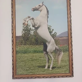 Портрет