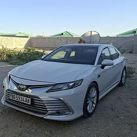 Toyota Camry 2019