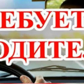 Водитель на своем авто