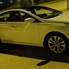 Hyundai Sonata 2011
