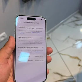 17 pro