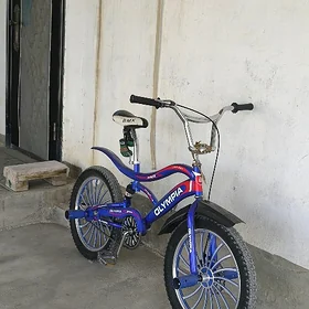 Tigir olimpiya