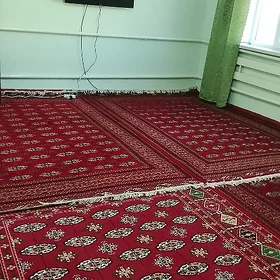 DZ Boldumsaz etrap Nowruz koce