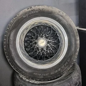 disga r13