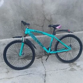 Turkmenistan tigir
