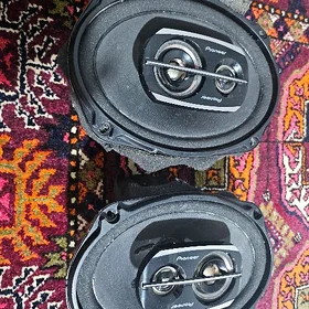 Pioneer 500 nikel