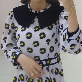koynek stapyl sifon leon