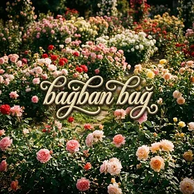 bagban