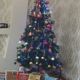 Ýolka