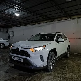 Toyota RAV4 2022