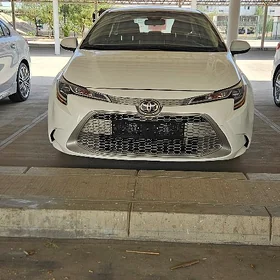 Toyota Corolla 2021