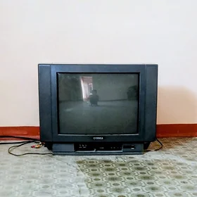 Telewizor
