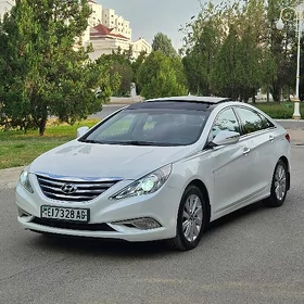 Hyundai Sonata 2013