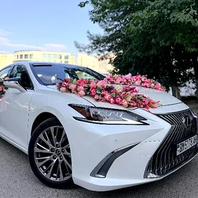 Lexus 2023 Toy