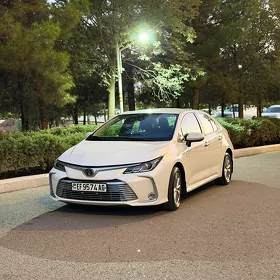 Toyota Corolla 2022