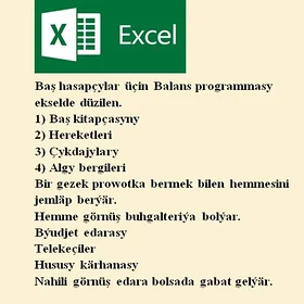 Excel