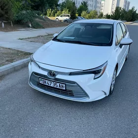 Toyota Corolla 2025
