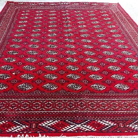 haly
