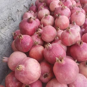 nar ştil