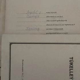 Eyesinden Satlyk Buzmeyn 8 dom