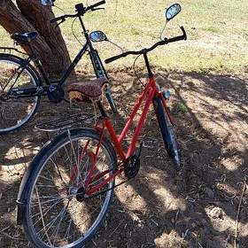 тигир🚴🏻‍♂️