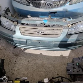 BABYCGA KELTE MORDA CAMRY