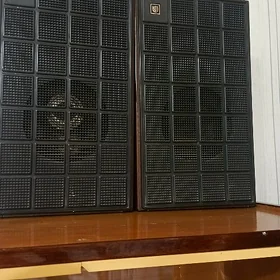 калонки