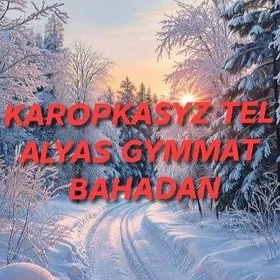 17pro karopkasyz tel alyas air
