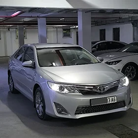 Toyota Camry 2013