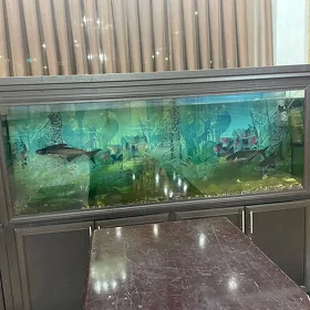 akwaryum